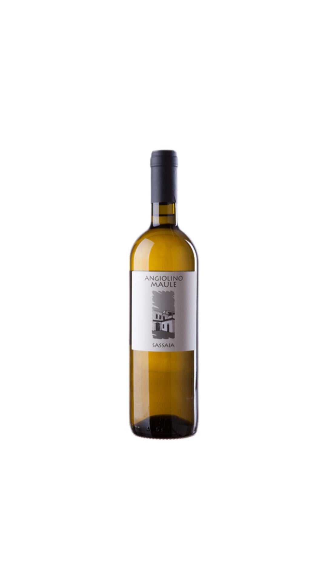 LA BIANCARA SASSAIA(garganega ferm. In botti grandi)