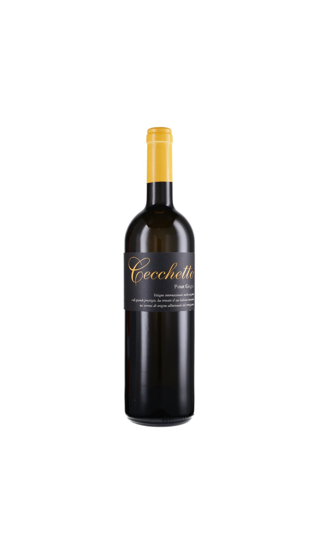 PINOT GRIGIO DELLE VENEZIE CECCHETTO